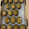 佳沛（zespri）新西蘭  陽(yáng)光金果18粒原箱單果重173-204g 獼猴桃 中秋水果禮盒 曬單實(shí)拍圖