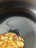 三四鋼?章丘小鐵鍋炒鍋1-2人免開(kāi)鍋炒菜鍛打無(wú)涂層平底小型24cm 36612 曬單實(shí)拍圖