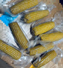 京鮮生東北黃糯玉米棒200g×8根 甜黏玉米 多種包裝隨機發(fā)貨 源頭直發(fā) 曬單實(shí)拍圖