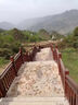 世騰水泥仿木護欄景區河道池塘圍欄柵欄防樹(shù)皮木紋混凝土仿木欄桿廠(chǎng)家 仿樹(shù)藤仿木護欄 曬單實(shí)拍圖
