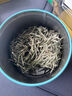 踏雪蘭妃2025新茶【金獎(jiǎng)茶】明前單芽濃香型茉莉九窨耐泡嫩芽罐裝 零添加  全網(wǎng)低價(jià) 罐裝重量252··克一罐/金獎(jiǎng)踏雪蘭妃茶 曬單實(shí)拍圖