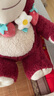 迪士尼（Disney）草莓熊玩偶娃娃正版花環(huán)公仔毛絨玩具抱枕女孩生日禮物女生女朋友 曬單實(shí)拍圖