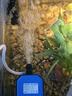 德國魚(yú)缸過(guò)濾制氧一體機內置三合一凈水循環(huán)水泵家用養魚(yú)小型氧氣 6W 360度全面過(guò)濾(適合60CM以?xún)若~(yú)缸) 曬單實(shí)拍圖