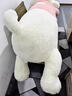 HKFZ趴趴狗抱枕泰迪熊狗狗玩偶小熊毛絨玩具靠枕女生日七夕情人節禮物 珍珠白[毛衣狗] 現貨現發(fā) 90厘米[m號 代寫(xiě)賀卡] 曬單實(shí)拍圖