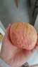 正宗煙臺(tái)蘋果棲霞紅富士脆甜新鮮水果整箱生鮮蘋果水果 凈重4.5斤80mm 曬單實(shí)拍圖