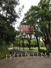 OBOSH歐博士雨刮器別克君威/君威GS（17-23款 無(wú)骨膠條靜音雨刷片24/20 曬單實(shí)拍圖