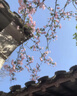 萬(wàn)家全雙層玻璃杯男耐熱防燙帶把帶手柄商務(wù)辦公玻璃水杯過(guò)濾茶木柄杯子 木柄茶水分離杯透明款400ml 曬單實(shí)拍圖