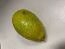 新鮮無(wú)籽青檸檬 果香濃郁小青檸香水檸檬檸檬茶鮮檸檬 香水青檸檬【單果≥60g】1斤 曬單實(shí)拍圖