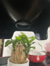 森森（SUNSUN）森森魚(yú)缸喂食器自動(dòng)投食器錦鯉金魚(yú)水族箱智能定時(shí)喂魚(yú)器 智能定時(shí)升級款+雙食盒 曬單實(shí)拍圖