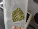 十月稻田 綠豆 500g（東北 雜糧 粗糧 大米伴侶 可發(fā)豆芽 打豆漿） 曬單實(shí)拍圖