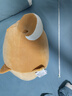 名創(chuàng  )優(yōu)品（MINISO）趣味阿柴趴姿毛絨公仔玩偶抱枕玩具沙發(fā)靠枕娃娃送女友生日禮物女 曬單實(shí)拍圖