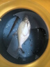 漁之源海竿遠投竿海桿全套直接釣魚(yú)拋竿魚(yú)竿大物海釣竿單桿套裝磯釣竿 3.6m 到手即釣【紡車(chē)輪 海釣配件 魚(yú)線(xiàn)】 曬單實(shí)拍圖