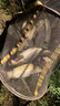 龍王恨魚(yú)餌青龍霸道2代顆粒餌湖庫野釣巨青大物打窩顆粒餌料【1000g】 曬單實(shí)拍圖