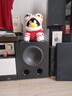 天逸（Winner）SUB-1000有源超重低音炮10寸音箱音響大功率室內家庭影院室外舞臺酒吧專(zhuān)用音箱 SUB-1000 曬單實(shí)拍圖