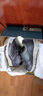斯凱奇（Skechers）男士商務(wù)鞋秋季厚底通勤板鞋休閑鞋軟底舒適上班鞋77156 曬單實(shí)拍圖