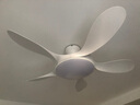 TCL全光譜護眼風(fēng)扇燈客廳吊扇燈餐廳燈風(fēng)扇一體電風(fēng)扇吊燈 吸頂白色-46寸五葉-變頻-遙控 曬單實(shí)拍圖