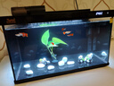 森森金麟超白玻璃魚(yú)缸一體缸自循環(huán)客廳小型家用水族箱LE-480B 曬單實(shí)拍圖
