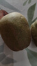 京覓 蒲江紅心獼猴桃奇異果24枚單果70-90g 生鮮水果現(xiàn)摘現(xiàn)發(fā)源頭直發(fā) 曬單實(shí)拍圖