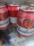 百威啤酒mini紅罐淡色拉格255ml*24聽(tīng)小罐整箱裝濃郁麥香京東自營(yíng) 曬單實(shí)拍圖