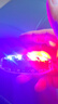 工馬汽車(chē)摩托電動(dòng)車(chē)防追尾太陽(yáng)能爆閃警示燈免接線(xiàn)示寬led夜間后尾燈 1只裝-太陽(yáng)能紅藍爆閃燈【全面升 曬單實(shí)拍圖