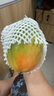 四川攀枝花凱特芒果當季新鮮大青皮芒果熱帶水果 9斤帶箱凈重8.5斤 單果250g起 曬單實(shí)拍圖