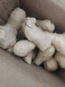 山東新鮮大姜超市生鮮蔬菜老姜即食水果生姜水洗凈姜 山東大姜250g 曬單實拍圖