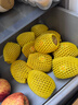 佳沛（zespri）新西蘭  陽(yáng)光金奇異果10粒禮盒巨大果單果約144-175g 水果 獼猴桃 曬單實(shí)拍圖