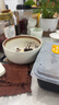 品喻（PINYU）日式泡面碗餐具面條碗家用大碗拉面碗湯碗防燙陶瓷湯面碗【白】 曬單實(shí)拍圖