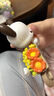 名創(chuàng)優(yōu)品（MINISO）帕恰狗花與少年盲盒擺件手辦玩具送禮生日禮物 單盒（款式隨機） 曬單實拍圖