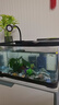 闊庭魚(yú)缸懶人魚(yú)缸家用客廳辦公室金魚(yú)缸過(guò)濾魚(yú)缸黑色款 曬單實(shí)拍圖