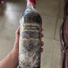 奧蘭金典珍藏干紅葡萄酒750ml單支西班牙進(jìn)口紅酒（V5）【精品系列】 曬單實(shí)拍圖
