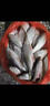 釣魚(yú)小藥正品高濃度誘魚(yú)劑野釣黑坑水庫溪流通殺鯽魚(yú)鯉魚(yú)羅非鰱鳙 一瓶 曬單實(shí)拍圖