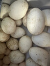 東北農(nóng)家散養(yǎng)新鮮特大200克土鵝蛋孕婦大鵝蛋正宗農(nóng)家自養(yǎng)鵝蛋 130克到150克（十二枚）約3.36斤 曬單實(shí)拍圖
