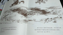 讓路給小鴨子 凱迪克大獎繪本 經(jīng)典暢銷(xiāo)繪本 清華附小推薦，凱迪克金獎 入選2018年學(xué)校推薦閱讀書(shū)單0-3歲（啟發(fā)出品） 曬單實(shí)拍圖