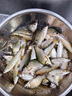 釣魚王地獄貓昆蟲蛋白魚餌秋冬腥香黑水虻幼蟲餌料鯽鯉通用餌 腥3包裝 曬單實(shí)拍圖