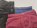 金利來(lái)內褲男純棉透氣7A抗菌吸汗秋冬短褲男凈色平角褲男士四角褲衩 曬單實(shí)拍圖