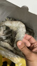 北海灣 厄瓜多爾白蝦 大蝦鮮活速凍鹽凍南美白蝦基圍蝦海蝦對蝦海鮮批發(fā) 【特大蝦 15-18cm】 3斤(凈重) 曬單實(shí)拍圖