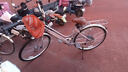 鳳凰 自行車(chē)男女腳踏代步單車(chē)成人輕便學(xué)生車(chē)城市復古通勤休閑車(chē) 青檸 26寸7速灰粉 曬單實(shí)拍圖