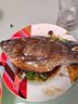 GUO LIAN國聯(lián)水產(chǎn)三去羅非魚(yú)4條共2.8斤凈重非洲鯽魚(yú)水產(chǎn)生鮮食材源頭直發(fā) 曬單實(shí)拍圖