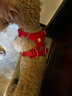 拉夫威爾ruffwear福朗特胸背狗狗胸背帶大小型犬拉布拉多背心式牽引背帶 峽谷紅 M 曬單實(shí)拍圖