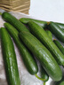 京喜加新鮮無(wú)刺水果小黃瓜小青瓜脆甜荷蘭脆嫩生吃黃瓜蔬菜 水果黃瓜 2斤 帶箱活動(dòng) 曬單實(shí)拍圖