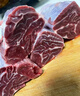 肉大廚巴西進(jìn)口安格斯谷飼原切胸部牛肋條2斤 生鮮牛肉燒烤燉煮 曬單實(shí)拍圖