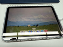 Apple/蘋果 iPad mini (A17 Pro) 8.3英寸 平板電腦(256G eSIM版/mini7/MXQ53CH/A)藍(lán)色 曬單實(shí)拍圖