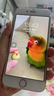 云核蘋(píng)果iphone電池6S手機7plus大容量8更換5S/6/7XR/XS MAX /11pro云核 【超大容量】蘋(píng)果6s電池+工具+教程 曬單實(shí)拍圖