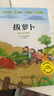 愛(ài)書(shū)的孩子注音版一年級繪本（澳）彼得卡納沃斯著(zhù) 小學(xué)生必讀課外書(shū)老師推薦正版上冊閱讀書(shū)籍親子小朋友入學(xué)準備方素珍譯人教閱讀浙江少年兒童出版社 【注音版】拔蘿卜（俄）阿·托爾斯泰 著(zhù) 曬單實(shí)拍圖