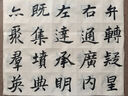 vivo手機(jī)Y500全網(wǎng)通(12+256G) 玄武黑 PD2506BA 曬單實(shí)拍圖