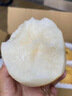山姆伯伯秋月梨正宗萊陽(yáng)梨【多地次日達】新鮮梨子香雪梨水果禮盒中秋禮品 【超甜-甄選級】丨單果300-400g 5斤裝 【巨劃算-80%人買(mǎi)】?jì)?.5斤 曬單實(shí)拍圖