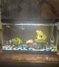 【適用】小米家智能魚(yú)缸背景板畫(huà)貼紙圖造背景板 米家魚(yú)缸背景板 林間瀑布 曬單實(shí)拍圖