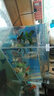 YEE超白魚(yú)缸桌面客廳生態(tài)斗金魚(yú)烏龜缸造景小型水草養魚(yú)玻璃裸缸40cm 曬單實(shí)拍圖