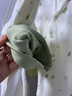 婧麒（JOYNCLEON）新生嬰兒衣服純棉男女寶寶秋冬睡衣分體打底內(nèi)衣套裝 Jyf153023 曬單實(shí)拍圖